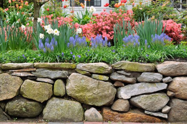 Stone Wall Hardscaping in Anaheim