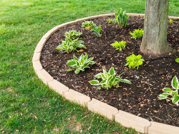 Stone Border Installation in Anaheim