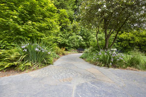Stone Hardscape Service in Anaheim