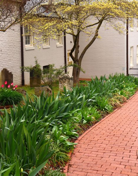 Brick Flatwork Repair in Anaheim
